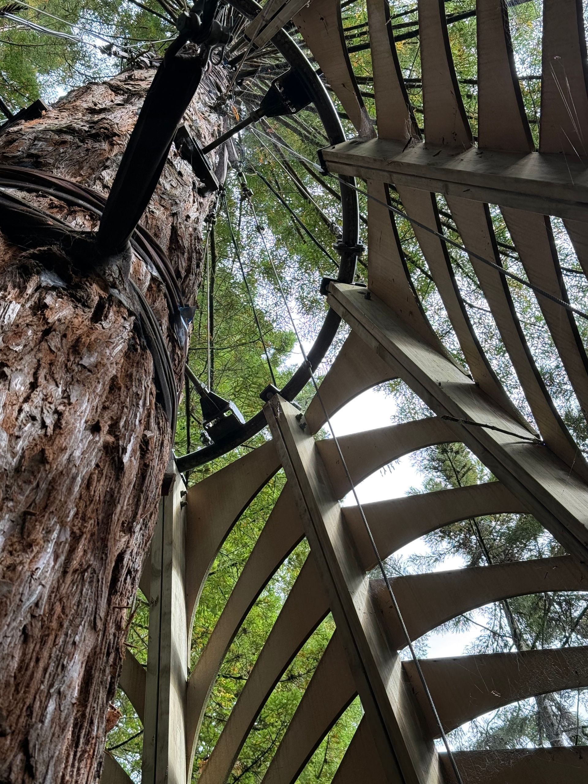 Tree Top Ridges ROTORUA, NEW ZEALAND