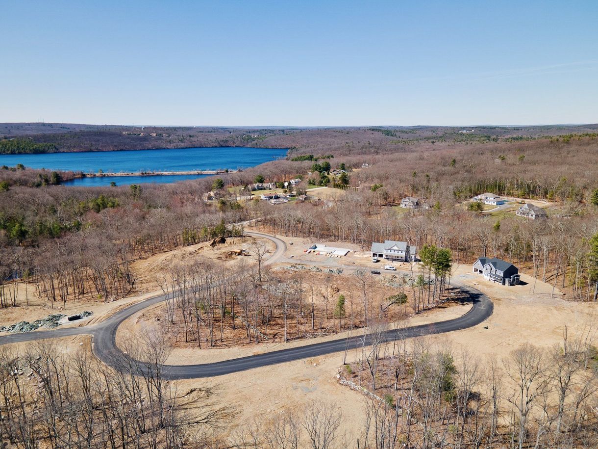 Aerial view of a road winding through a wooded area, with a lake in the background. Several houses are visible.