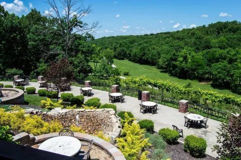 Patio with round tables and chairs overlooking a green vineyard and forested rolling hills on a sunny day.