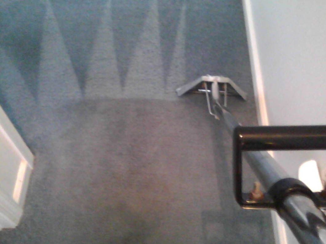 Carpet being cleaned with a machine. The cleaned area is a lighter shade of blue compared to the uncleaned areas.