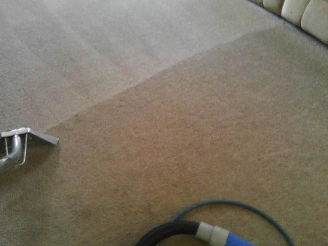 Carpet being cleaned; a half-cleaned section reveals the color difference. Cleaning equipment is visible.