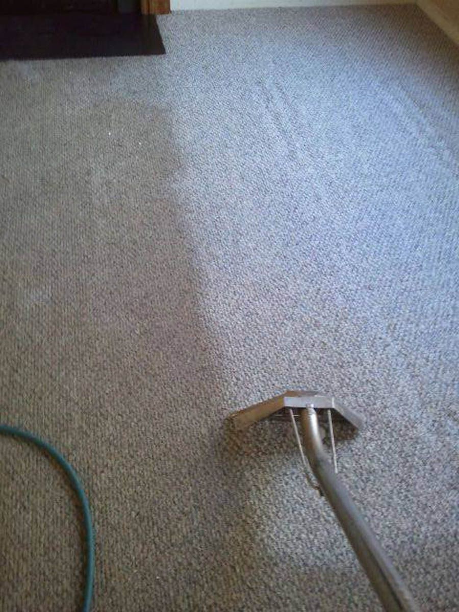 Carpet being cleaned with a machine; one side is clean, the other is dirty.