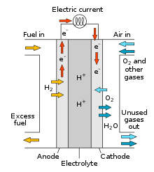 Hydrogen Fuel Cell