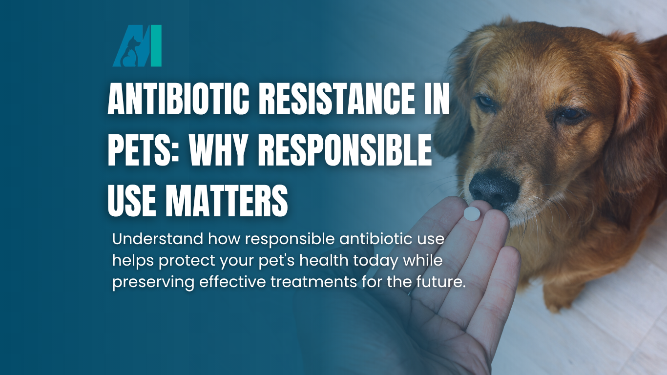 Dog beside text on antibiotic resistance in pets, with blue background and white headline.
