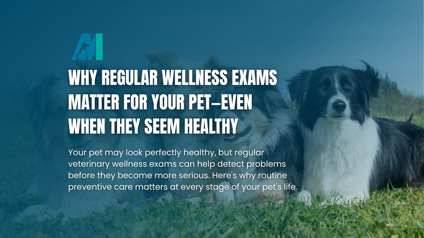 Dog in grass beside text about why regular wellness exams matter for pets.
