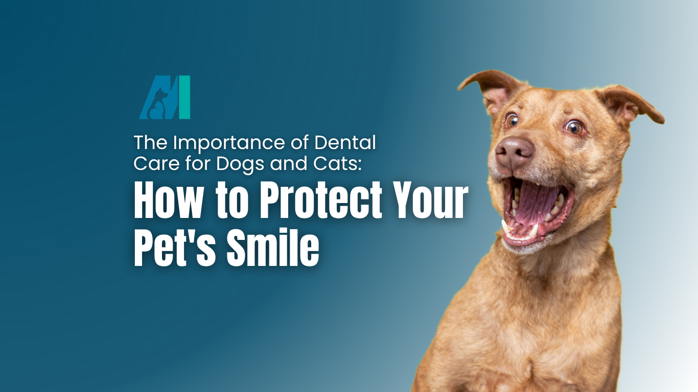 Dog dental care ad with a happy tan dog on a blue background and the text “How to Protect Your Pet’s Smile”