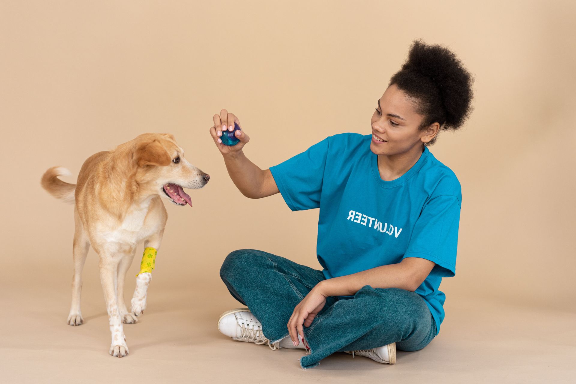 Woman in blue shirt sits with a dog, holding up a treat for training on a plain background.