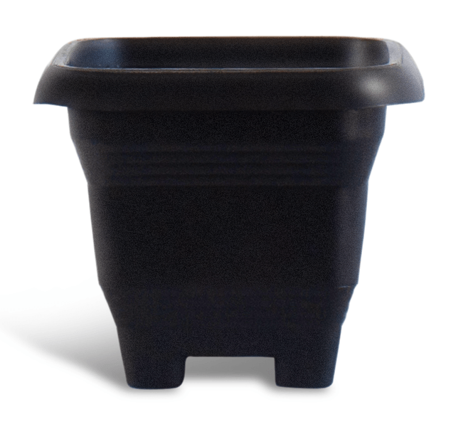 vaso de planta