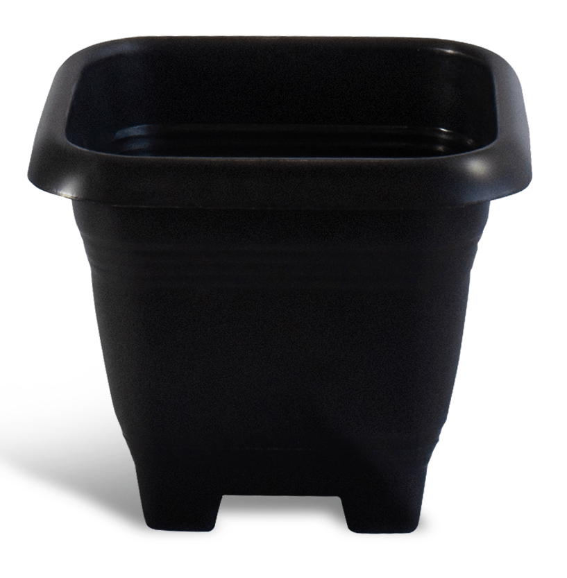 vaso de plánta