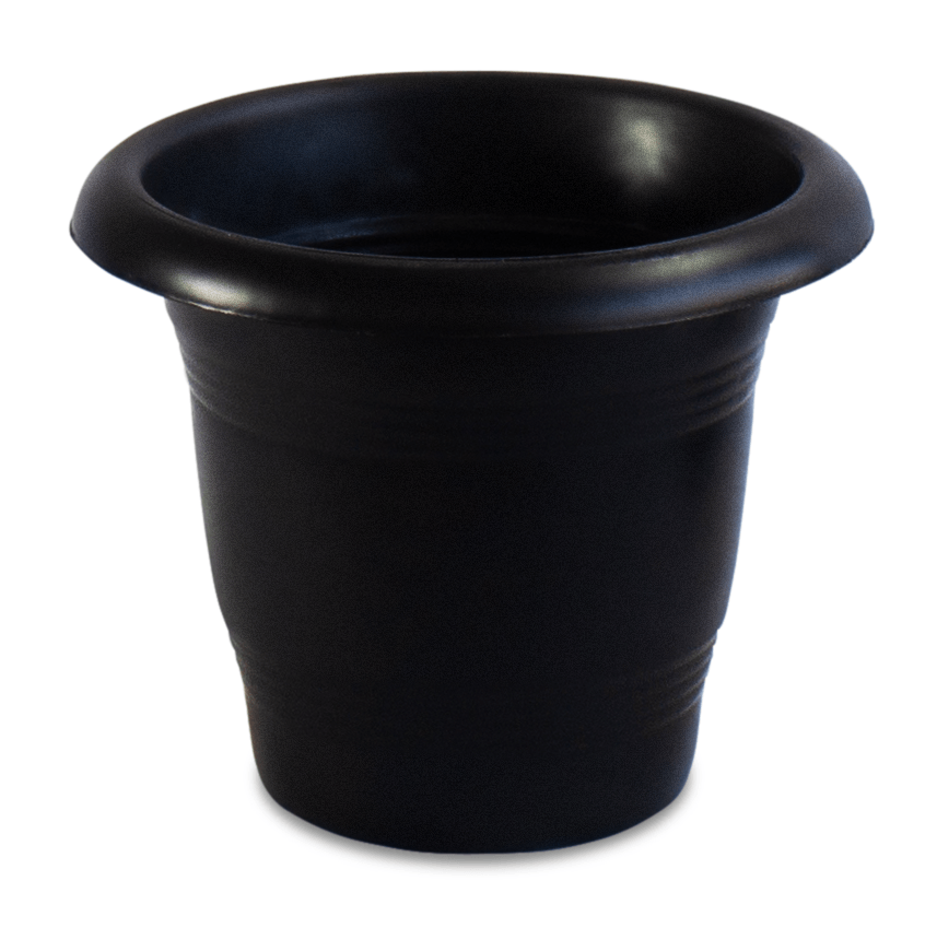 vaso de plánta