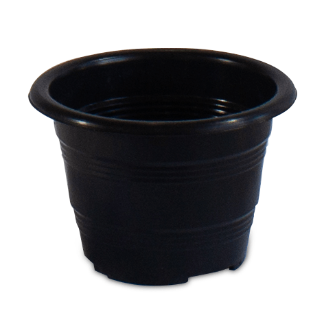 vaso de planta