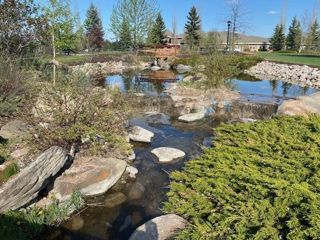 Rock garden pond with clear water, stepping stones, shrubs, and evergreen trees under a bright sky