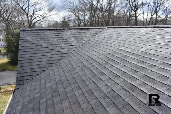 Gray shingled roof with a steep slope and bare trees in the background