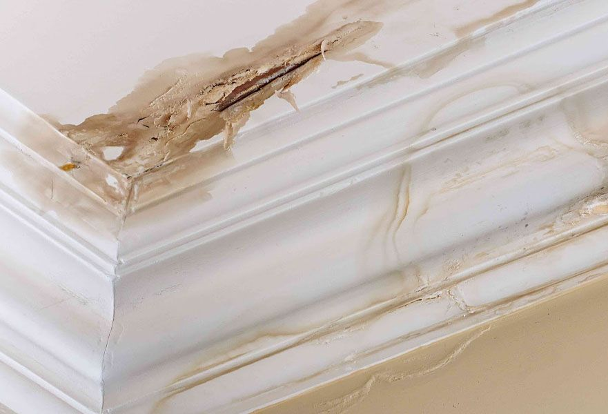 Damaged white ceiling molding with peeling paint and water stains from a leak