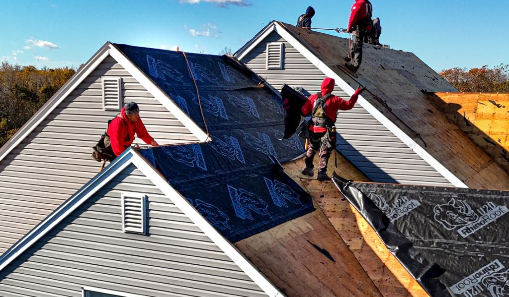 Roofers installing dark blue tarp on a house roof with visible exposed plywood and gray shingles
