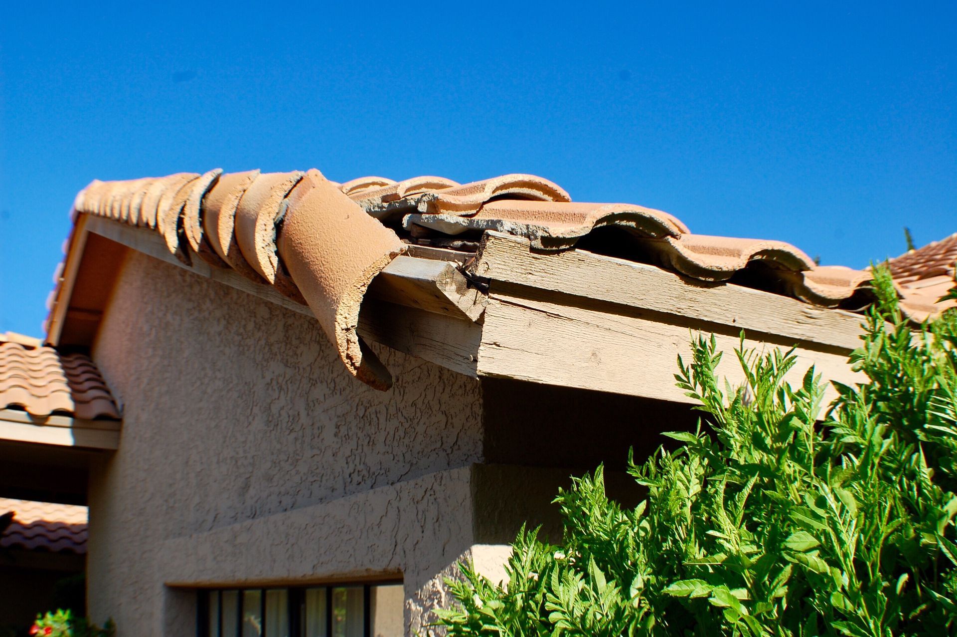 Damaged roof tiles draped over a house roof with a clear blue sky and green tree in front