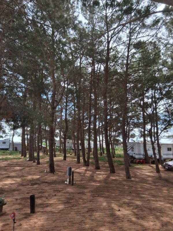 RV park grounds near US 87 in Lamesa, Texas