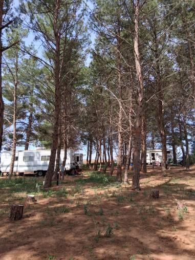 Full hookup RV sites at In The Pines RV Park in Lamesa TX