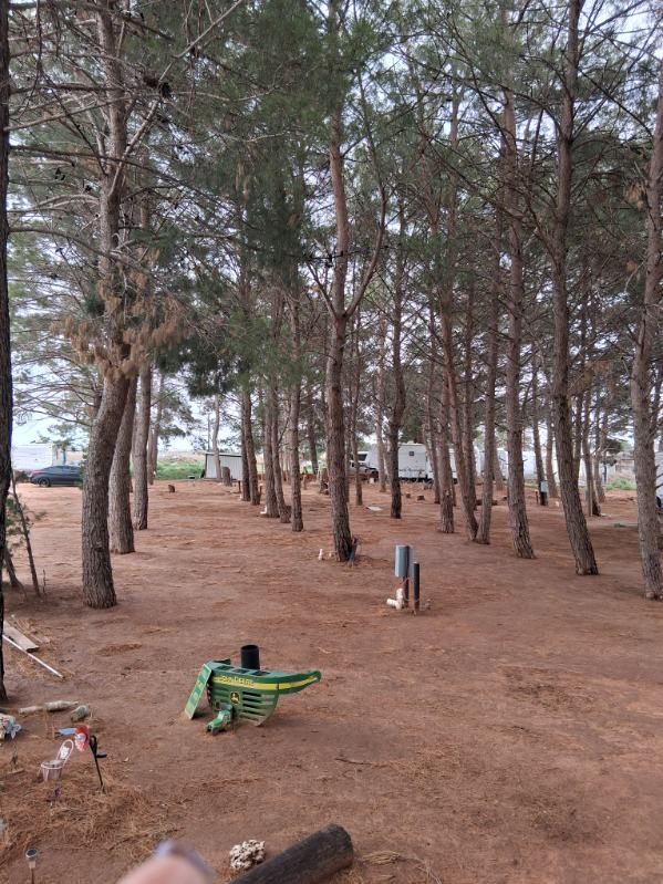 Big rig RV sites under pine trees at In The Pines RV Park