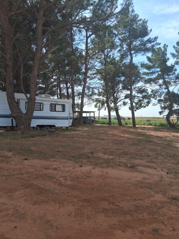 Pet-friendly RV site at In The Pines RV Park