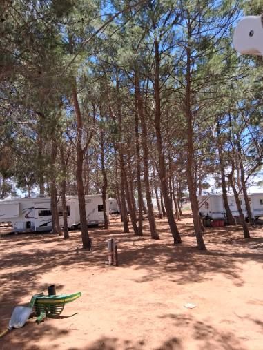In The Pines RV Park — RV among pine trees