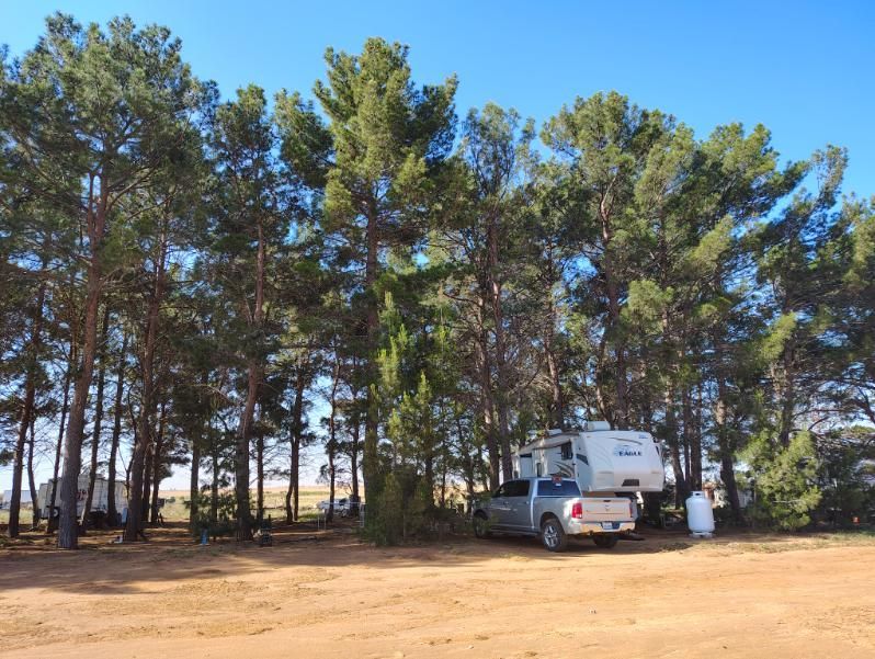 In The Pines RV Park — RV among pine trees