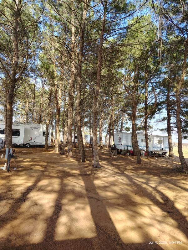 Pet-friendly RV site at In The Pines RV Park