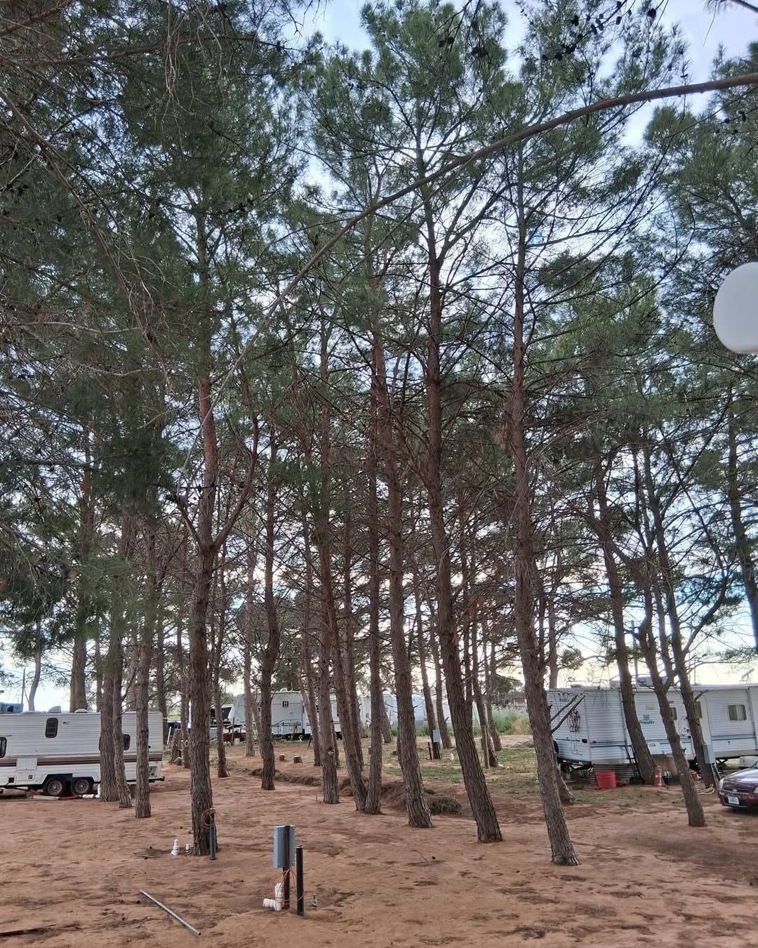 Full hookup RV sites at In The Pines RV Park in Lamesa, TX
