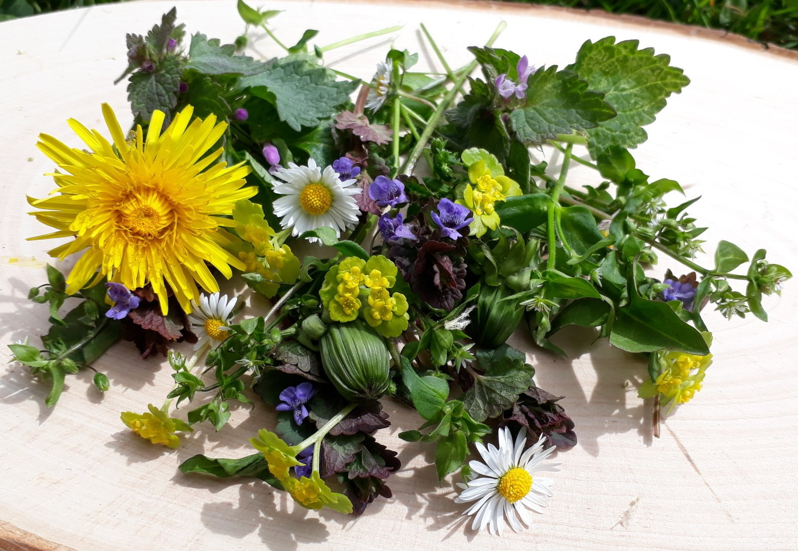 Arler Natur Workshop Kräuter und Blumen