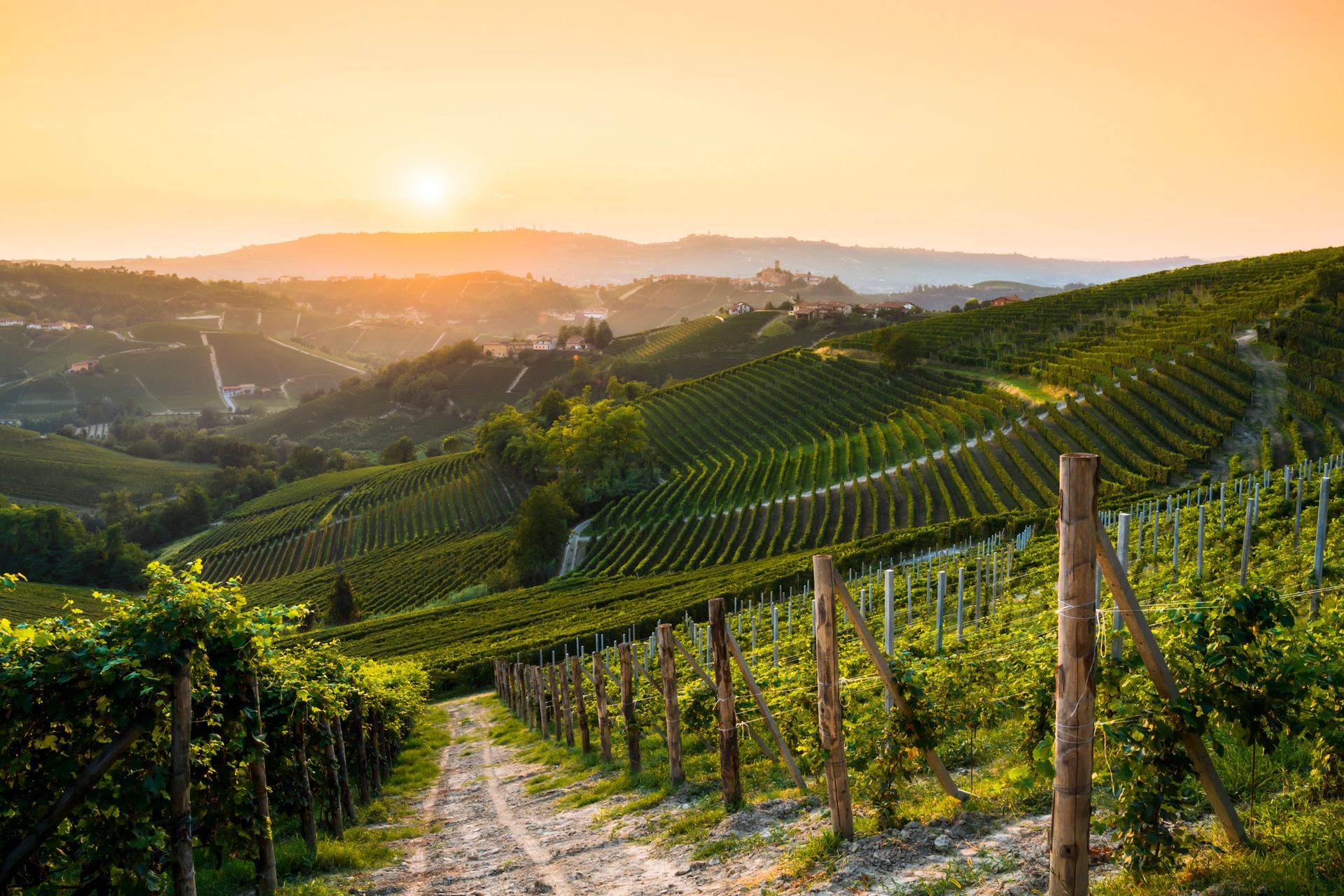Langhe piemontesi