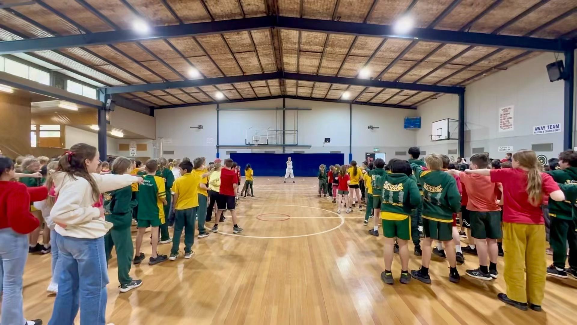 Traditional Chinese Performance, Primary School Incursion, Diversity Academy