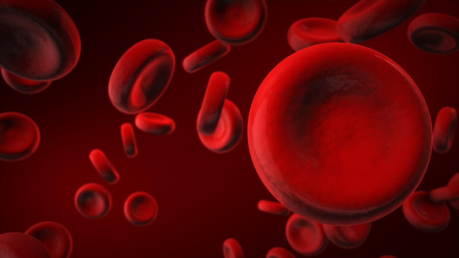 red blood cells