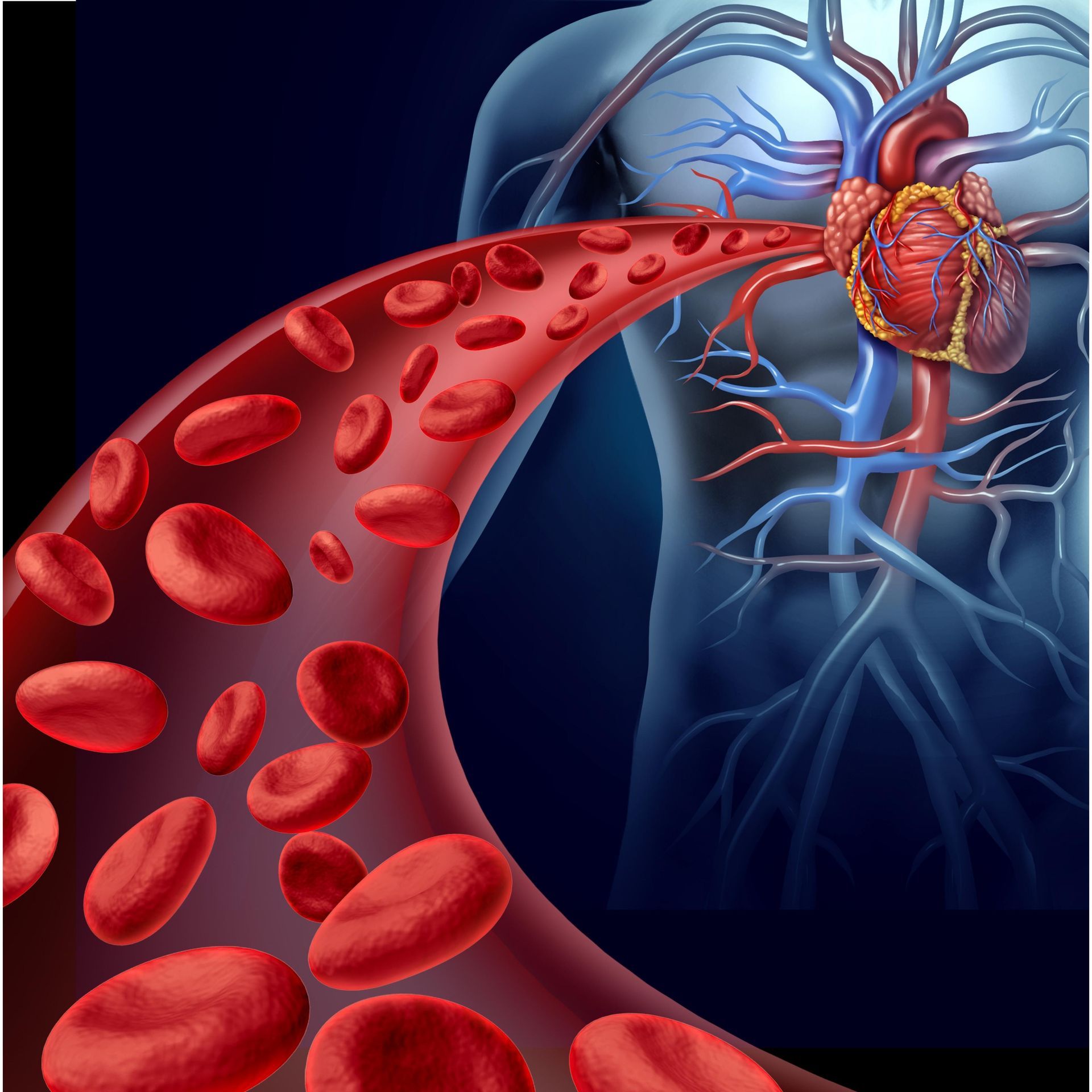 Red Blood cells for hyperbarics
