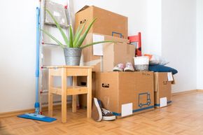 Packed moving boxes and household items in a bright room with a mop and potted plant