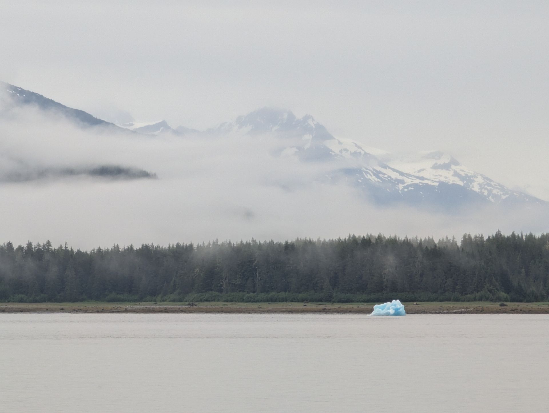 Mountains partially obscured by clouds, forest, and a small iceberg in calm water. Gray and green tones prevail.