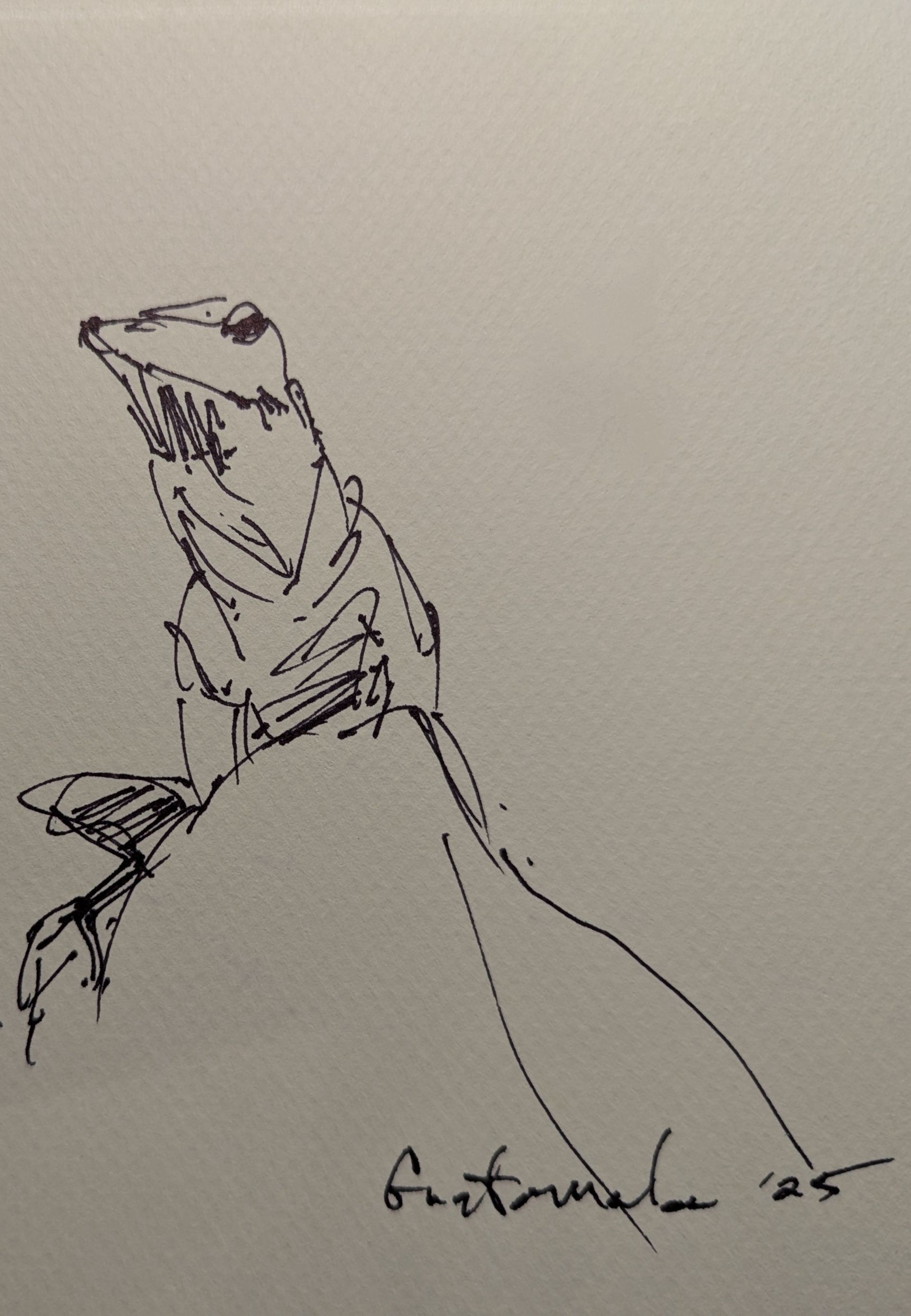 A drawing of a lizard is signed by arthur