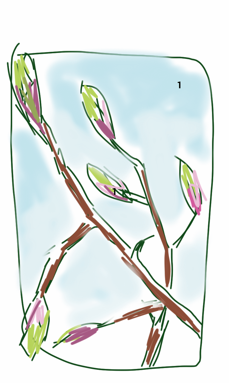 A drawing of a tree branch with buds on it