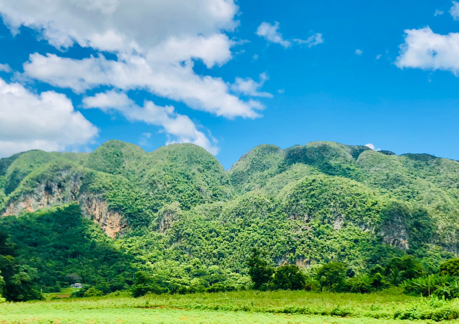 There are mountains in the background and a field in the foreground.