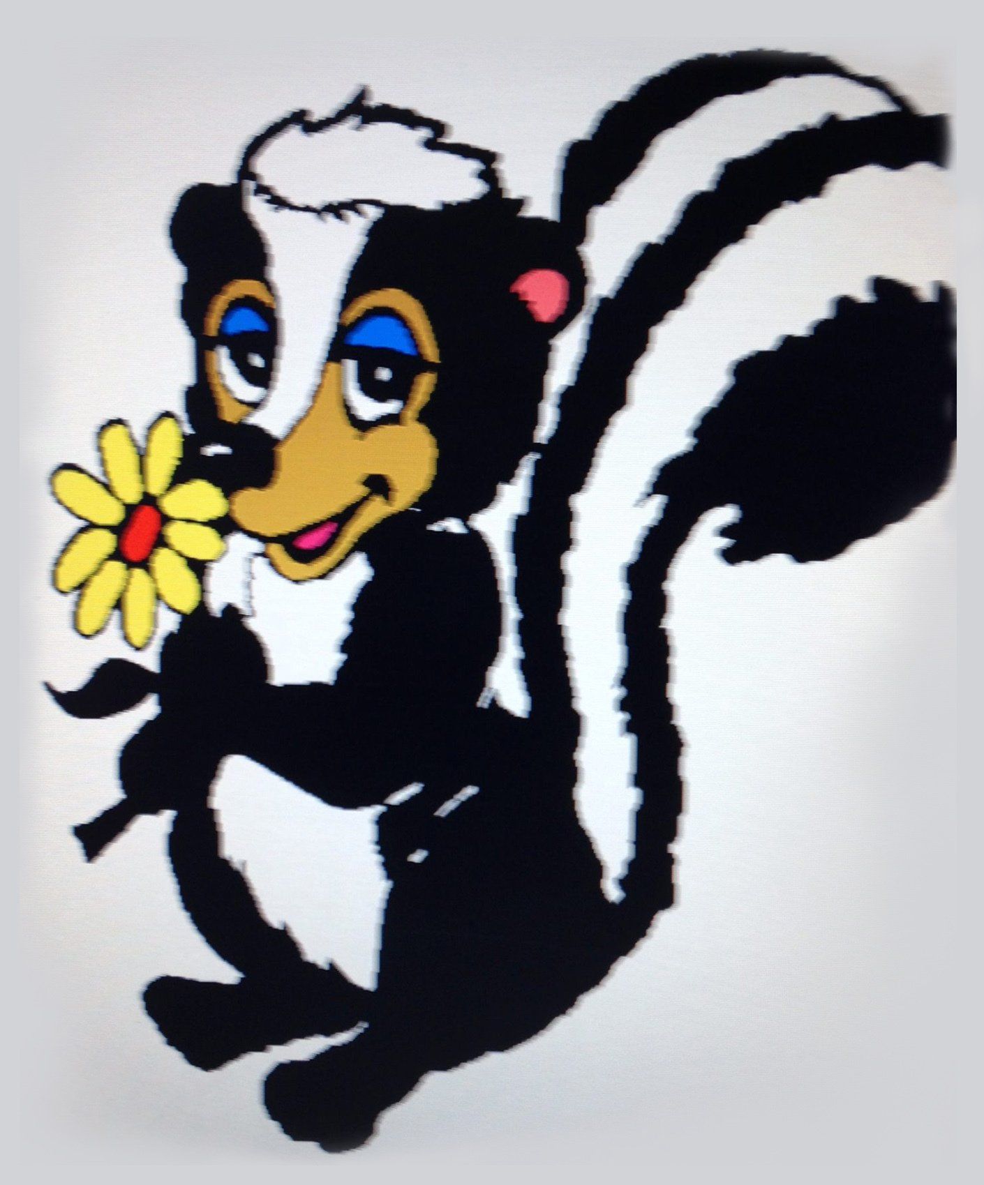 Skunk — Erie, PA — Moore Sanitation Skunk — Erie, PA — Moore Sanitation