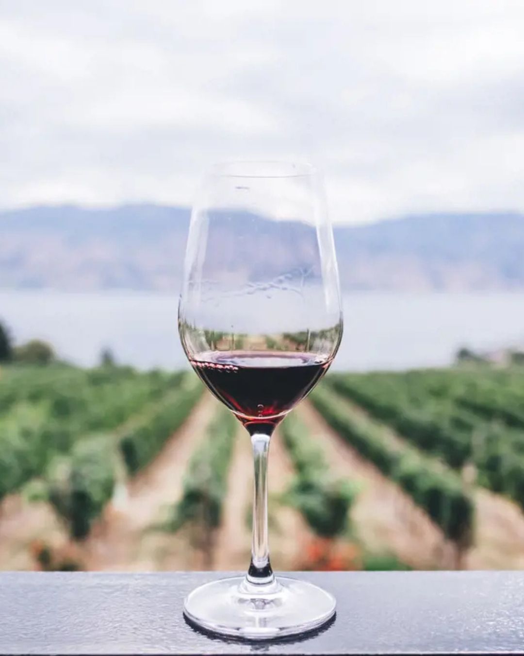 Wine in Italy