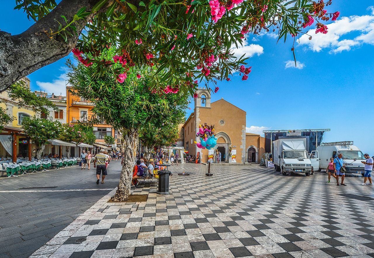 A tree with pink flowers is in the middle of a checkered sidewalk.