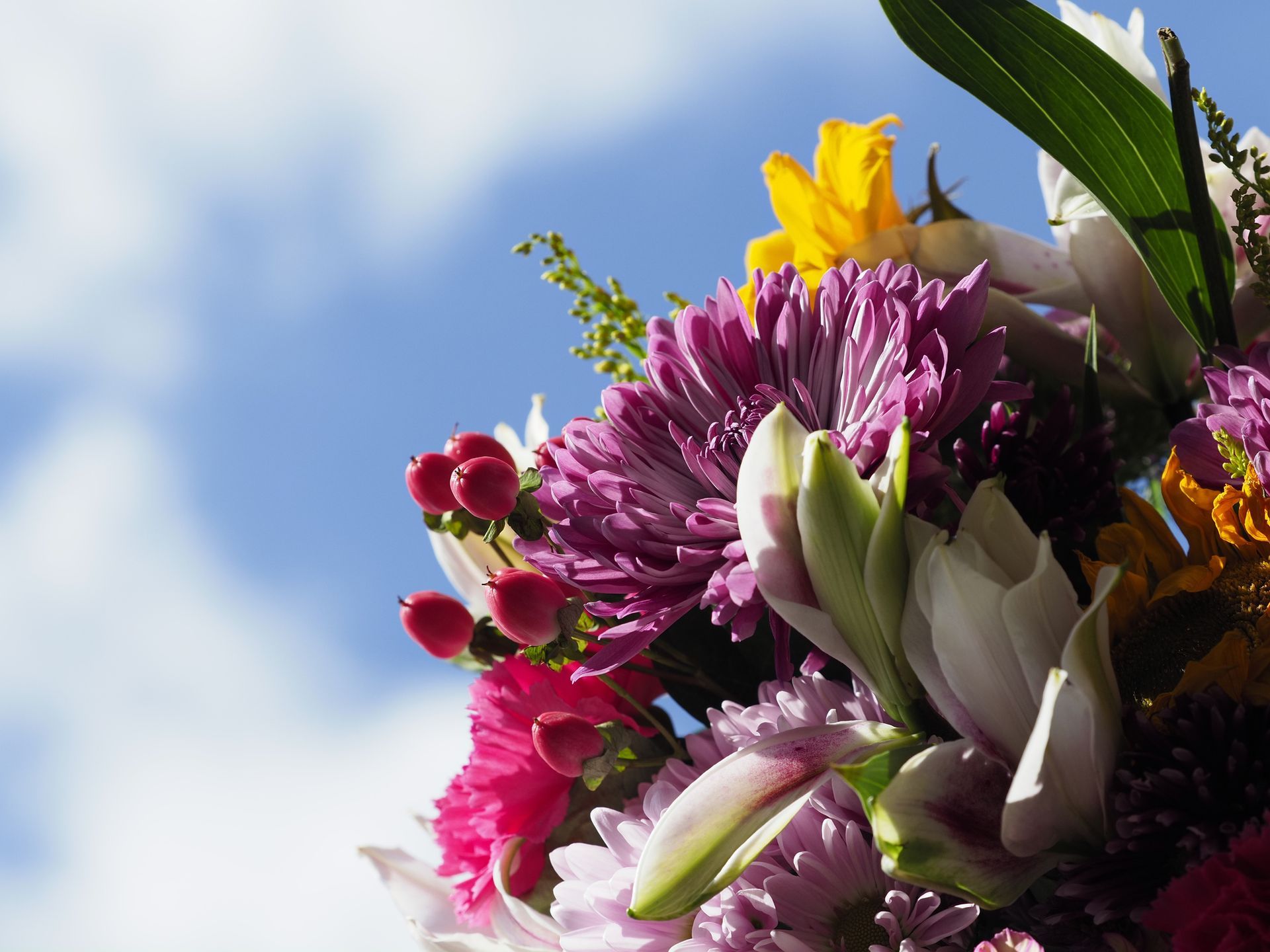 Mazzo di fiori colorati contro un cielo azzurro con soffici nuvole bianche.