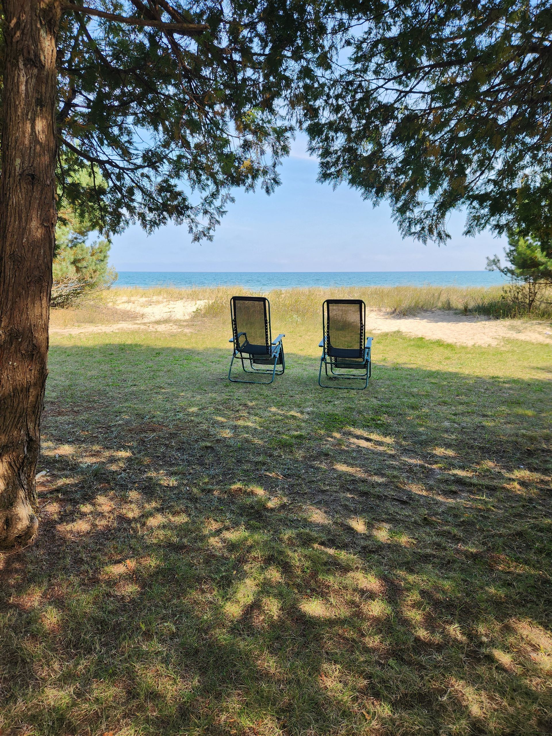 Two empty chairs on a grassy area, facing the ocean under a tree.