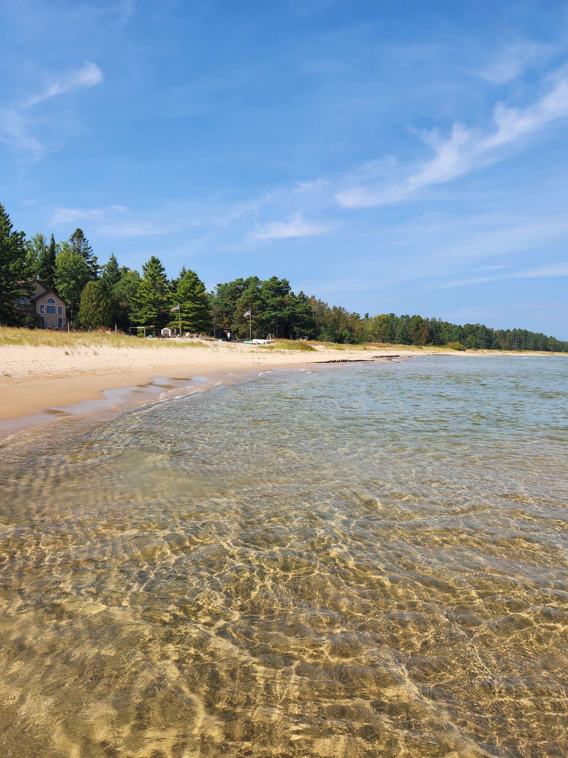 Clear shallow water on a sandy beach with trees under a blue sky.