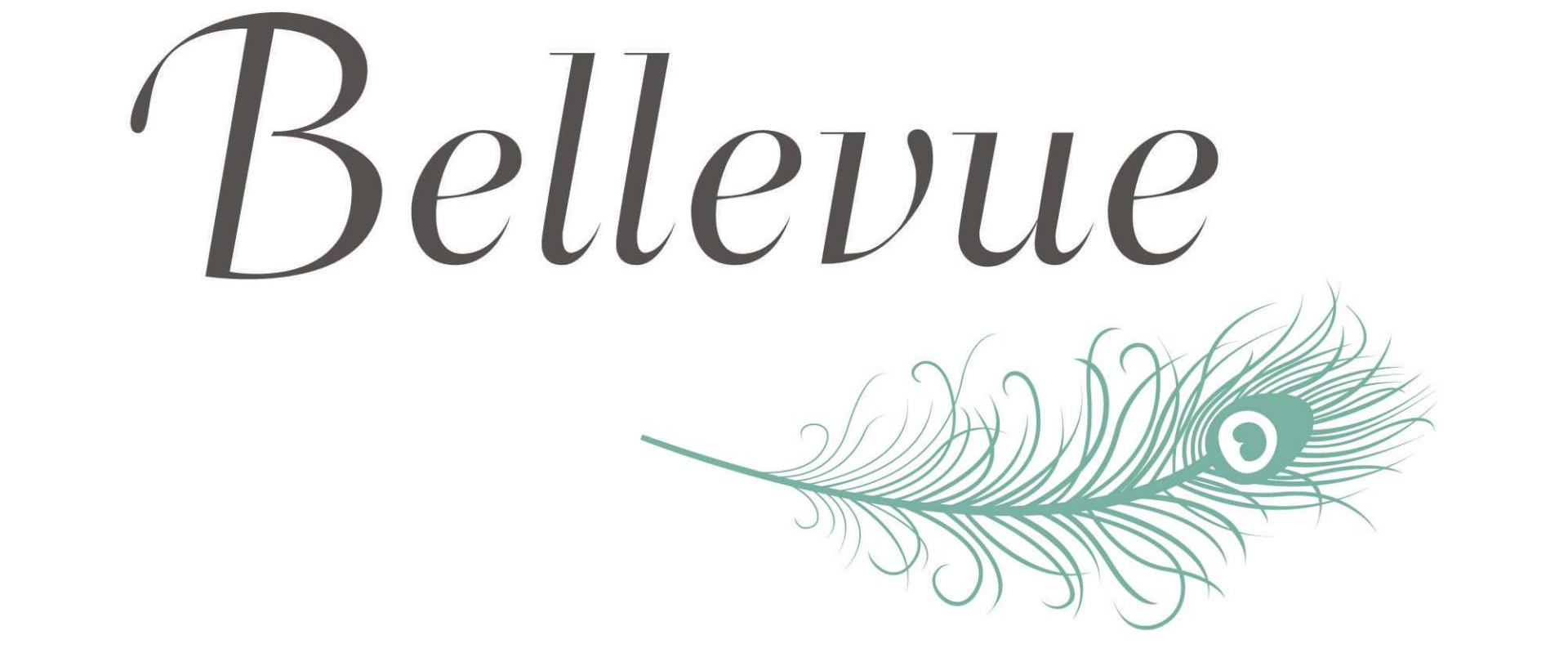 Ein Schild mit der Aufschrift „Wir wimpern Bellevue“ mit Herz und Feder.