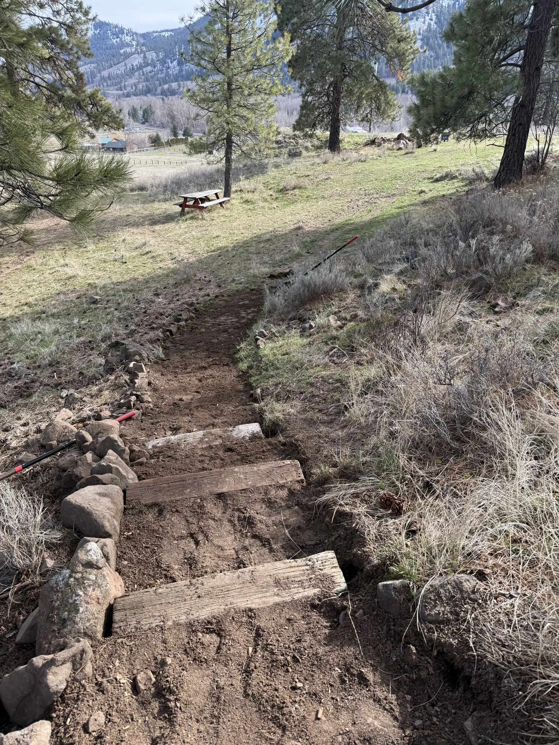 A dirt path with wooden and stone steps ascending a sunny, tree-covered hillside.