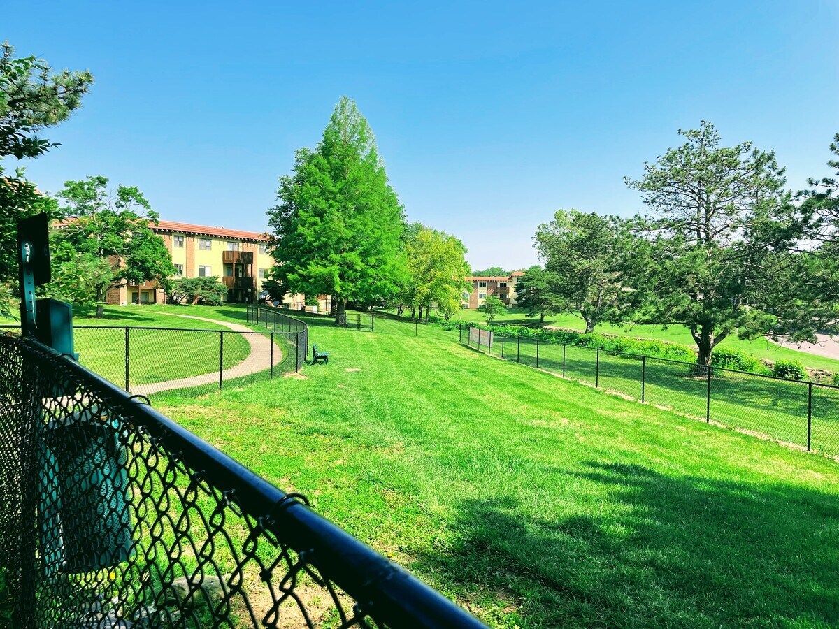 Green grassy dog park with chain link fence, trees, and buildings under a blue sky.