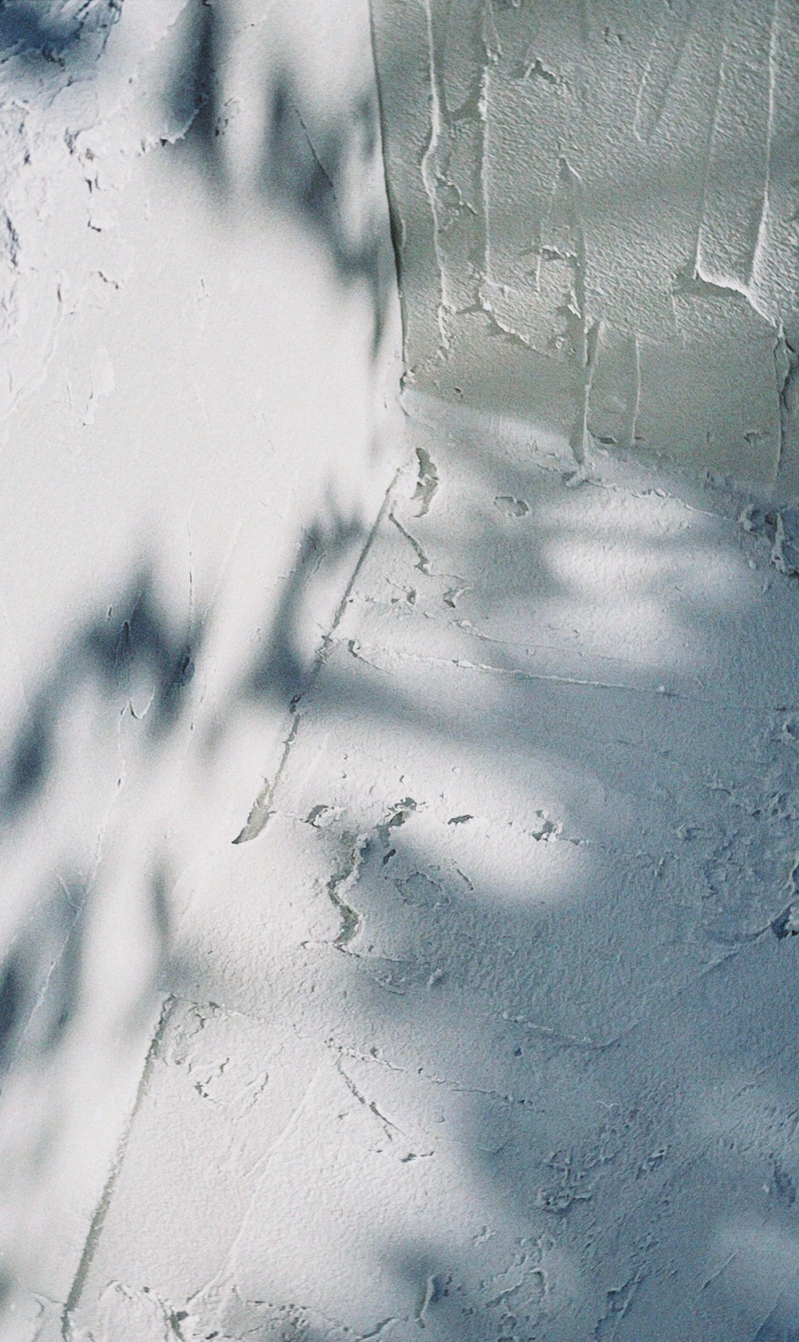 Sunlit concrete wall and sidewalk with tree shadows and scattered debris