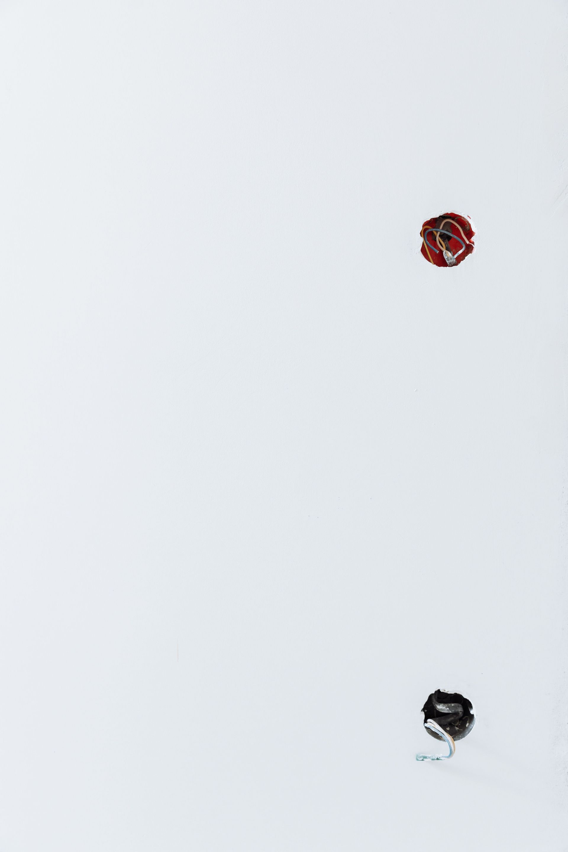 Two small round objects, one red and one black, on a light gray background.