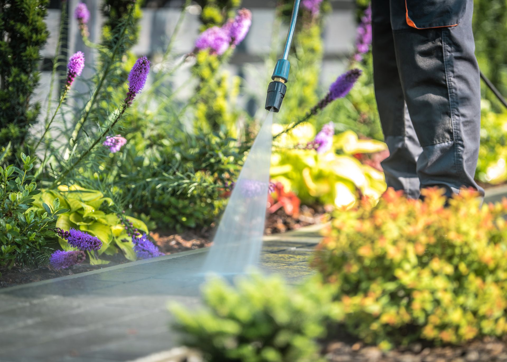 A person is using a heated power washer to clean a sidewalk surrounded by lush landscaping.